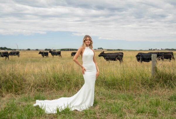 Ml1066 product image